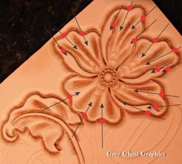 Flowers with arrows showing the angle of approach for inserting the lifters.